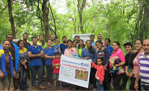Tree plantation drives