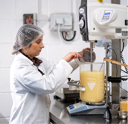 Researchers collaborating in lab